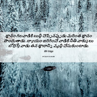 Picture 06 - సామెత 9:9 TELIRV - జ్ఞానం గలవాడికి - Bible Verse Picture