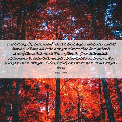 Picture 06 - హగ్గయి 1:1 TELIRV - రాజైన దర్యావేషు - Bible Verse Picture