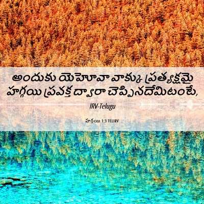 Picture 06 - హగ్గయి 1:3 TELIRV - అందుకు యెహోవా - Bible Verse Picture