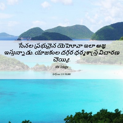 Picture 06 - హగ్గయి 2:11 TELIRV - సేనల ప్రభువైన - Bible Verse Picture