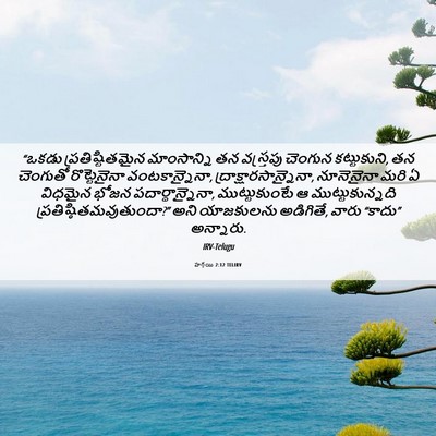 Picture 06 - హగ్గయి 2:12 TELIRV - “ఒకడు - Bible Verse Picture