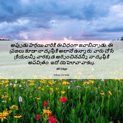 Picture 06 - హగ్గయి 2:14 TELIRV - అప్పుడు హగ్గయి - Bible Verse Picture
