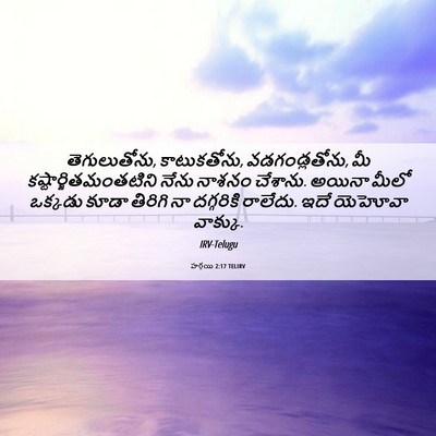 Picture 06 - హగ్గయి 2:17 TELIRV - తెగులుతోను, - Bible Verse Picture