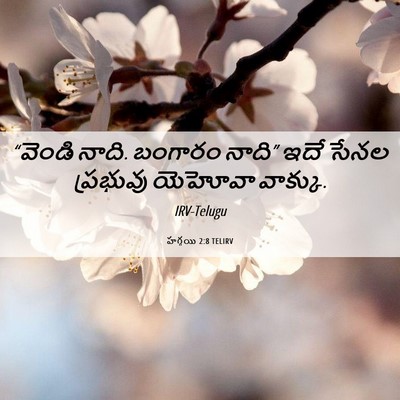 Picture 06 - హగ్గయి 2:8 TELIRV - “వెండి నాది. - Bible Verse Picture