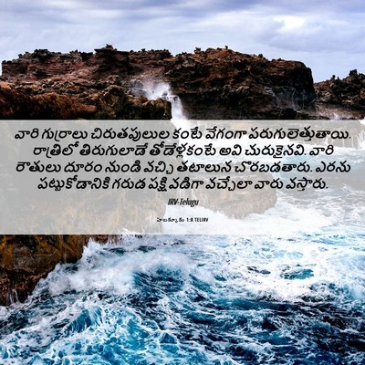 Picture 06 - హబక్కూకు 1:8 TELIRV - వారి గుర్రాలు - Bible Verse Picture