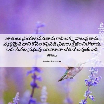 Picture 06 - హబక్కూకు 2:13 TELIRV - జాతులు - Bible Verse Picture