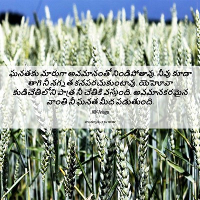 Picture 06 - హబక్కూకు 2:16 TELIRV - ఘనతకు మారుగా - Bible Verse Picture