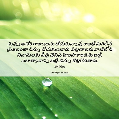 Picture 06 - హబక్కూకు 2:8 TELIRV - నువ్వు అనేక - Bible Verse Picture