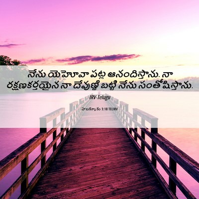 Picture 06 - హబక్కూకు 3:18 TELIRV - నేను యెహోవా పట్ల - Bible Verse Picture
