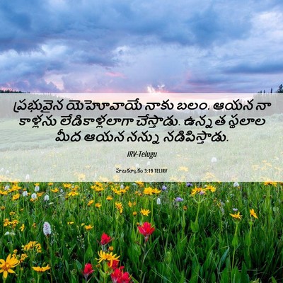 Picture 06 - హబక్కూకు 3:19 TELIRV - ప్రభువైన యెహోవాయే - Bible Verse Picture