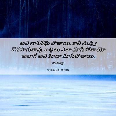 Picture 06 - హెబ్రీ పత్రిక 1:11 TELIRV - అవి నాశనమై పోతాయి. - Bible Verse Picture