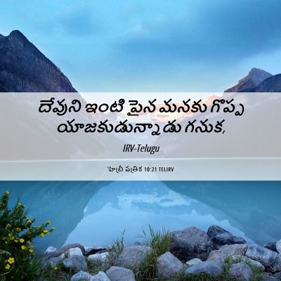 Picture 06 - హెబ్రీ పత్రిక 10:21 TELIRV - దేవుని ఇంటి పైన - Bible Verse Picture