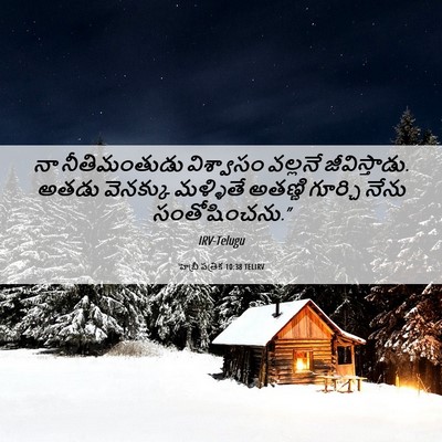 Picture 06 - హెబ్రీ పత్రిక 10:38 TELIRV - నా నీతిమంతుడు - Bible Verse Picture