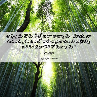 Picture 06 - హెబ్రీ పత్రిక 10:7 TELIRV - అప్పుడు నేను నీతో - Bible Verse Picture