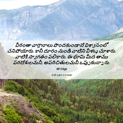 Picture 06 - హెబ్రీ పత్రిక 11:13 TELIRV - వీరంతా వాగ్దానాలు - Bible Verse Picture