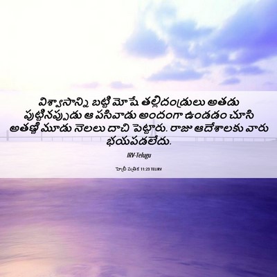 Picture 06 - హెబ్రీ పత్రిక 11:23 TELIRV - విశ్వాసాన్ని - Bible Verse Picture