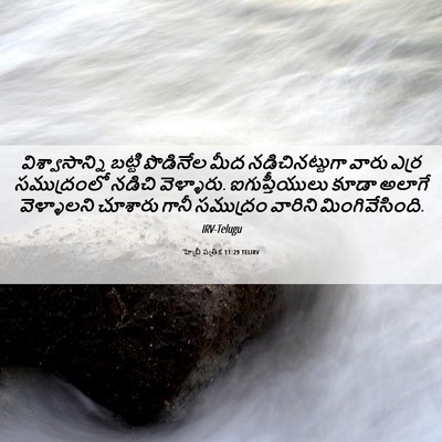 Picture 06 - హెబ్రీ పత్రిక 11:29 TELIRV - విశ్వాసాన్ని - Bible Verse Picture