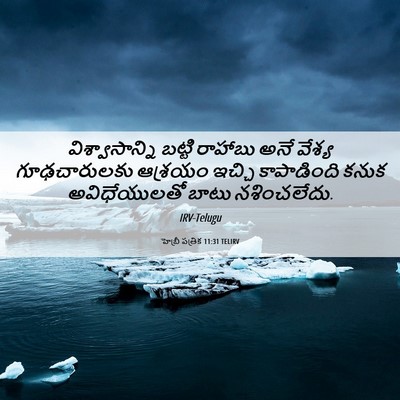 Picture 06 - హెబ్రీ పత్రిక 11:31 TELIRV - విశ్వాసాన్ని - Bible Verse Picture