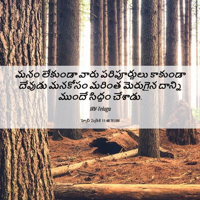 Picture 06 - హెబ్రీ పత్రిక 11:40 TELIRV - మనం లేకుండా వారు - Bible Verse Picture