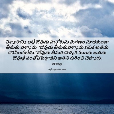Picture 06 - హెబ్రీ పత్రిక 11:5 TELIRV - విశ్వాసాన్ని - Bible Verse Picture