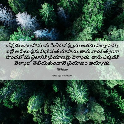 Picture 06 - హెబ్రీ పత్రిక 11:8 TELIRV - దేవుడు - Bible Verse Picture