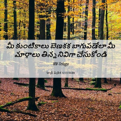 Picture 06 - హెబ్రీ పత్రిక 12:13 TELIRV - మీ కుంటికాలు - Bible Verse Picture