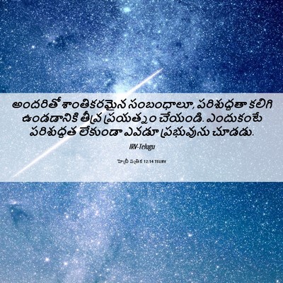 Picture 06 - హెబ్రీ పత్రిక 12:14 TELIRV - అందరితో - Bible Verse Picture