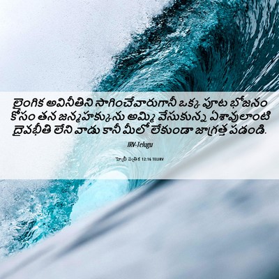 Picture 06 - హెబ్రీ పత్రిక 12:16 TELIRV - లైంగిక అవినీతిని - Bible Verse Picture