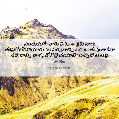 Picture 06 - హెబ్రీ పత్రిక 12:20 TELIRV - ఎందుకంటే వారు - Bible Verse Picture