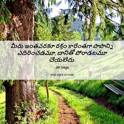 Picture 06 - హెబ్రీ పత్రిక 12:4 TELIRV - మీరు ఇంతవరకూ - Bible Verse Picture