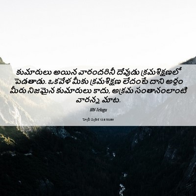 Picture 06 - హెబ్రీ పత్రిక 12:8 TELIRV - కుమారులు అయిన - Bible Verse Picture