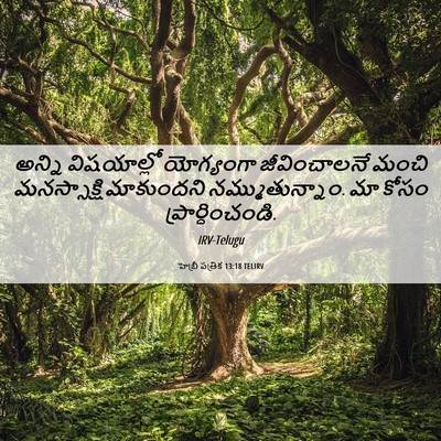 Picture 06 - హెబ్రీ పత్రిక 13:18 TELIRV - అన్ని విషయాల్లో - Bible Verse Picture