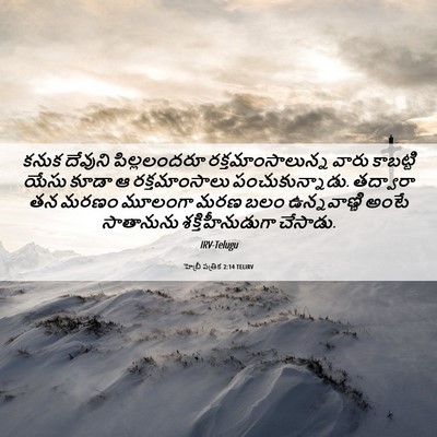 Picture 06 - హెబ్రీ పత్రిక 2:14 TELIRV - కనుక దేవుని - Bible Verse Picture