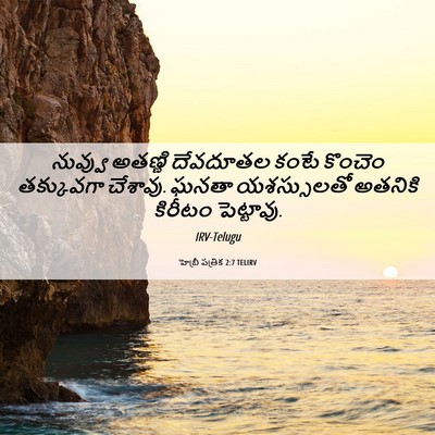 Picture 06 - హెబ్రీ పత్రిక 2:7 TELIRV - నువ్వు అతణ్ణి - Bible Verse Picture