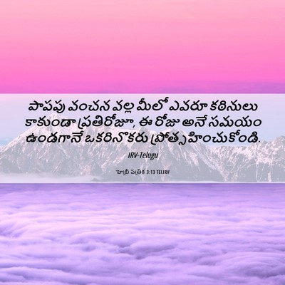 Picture 06 - హెబ్రీ పత్రిక 3:13 TELIRV - పాపపు వంచన వల్ల - Bible Verse Picture