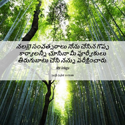 Picture 06 - హెబ్రీ పత్రిక 3:9 TELIRV - నలభై సంవత్సరాలు - Bible Verse Picture