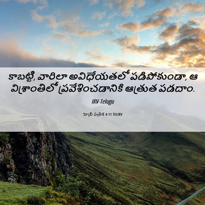 Picture 06 - హెబ్రీ పత్రిక 4:11 TELIRV - కాబట్టి, వారిలా - Bible Verse Picture