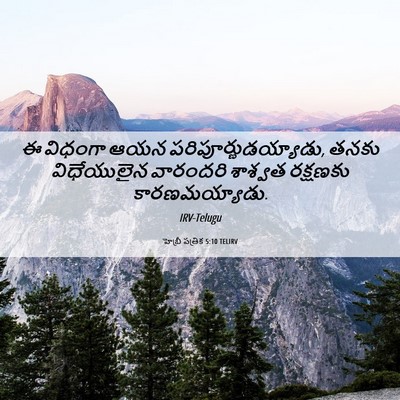 Picture 06 - హెబ్రీ పత్రిక 5:10 TELIRV - ఈ విధంగా ఆయన - Bible Verse Picture