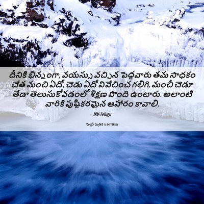 Picture 06 - హెబ్రీ పత్రిక 5:14 TELIRV - దీనికి భిన్నంగా, - Bible Verse Picture