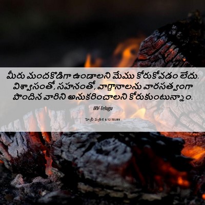 Picture 06 - హెబ్రీ పత్రిక 6:12 TELIRV - మీరు మందకొడిగా - Bible Verse Picture