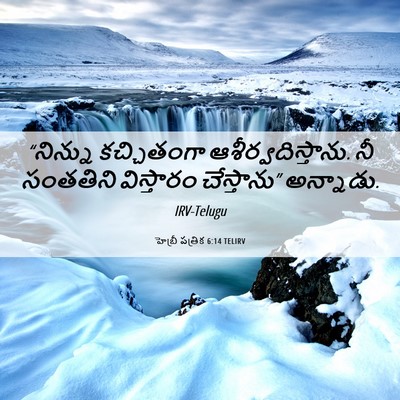 Picture 06 - హెబ్రీ పత్రిక 6:14 TELIRV - “నిన్ను కచ్చితంగా - Bible Verse Picture