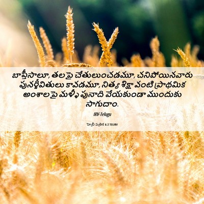 Picture 06 - హెబ్రీ పత్రిక 6:2 TELIRV - బాప్తీసాలూ, తలపై - Bible Verse Picture