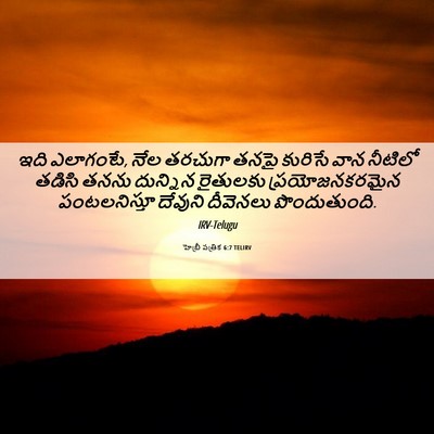 Picture 06 - హెబ్రీ పత్రిక 6:7 TELIRV - ఇది ఎలాగంటే, నేల - Bible Verse Picture