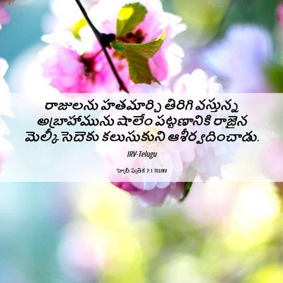 Picture 06 - హెబ్రీ పత్రిక 7:1 TELIRV - రాజులను హతమార్చి - Bible Verse Picture