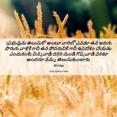 Picture 06 - హెబ్రీ పత్రిక 8:11 TELIRV - ‘ప్రభువును - Bible Verse Picture