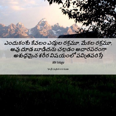 Picture 06 - హెబ్రీ పత్రిక 9:13 TELIRV - ఎందుకంటే కేవలం - Bible Verse Picture