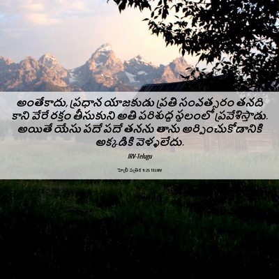 Picture 06 - హెబ్రీ పత్రిక 9:25 TELIRV - అంతేకాదు, ప్రధాన - Bible Verse Picture