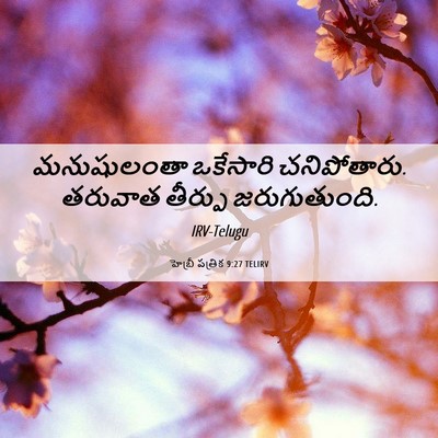 Picture 06 - హెబ్రీ పత్రిక 9:27 TELIRV - మనుషులంతా ఒకేసారి - Bible Verse Picture