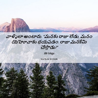 Picture 06 - హోషేయ 10:3 TELIRV - వాళ్ళిలా అంటారు. - Bible Verse Picture
