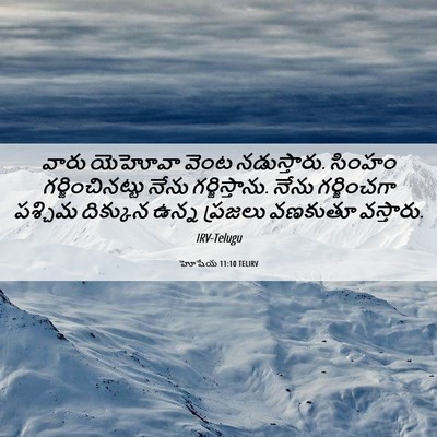 Picture 06 - హోషేయ 11:10 TELIRV - వారు యెహోవా వెంట - Bible Verse Picture